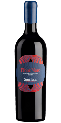 Otto Pinot Nero IGT Rosso Verona